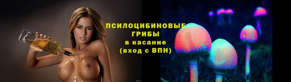 меф Богородицк