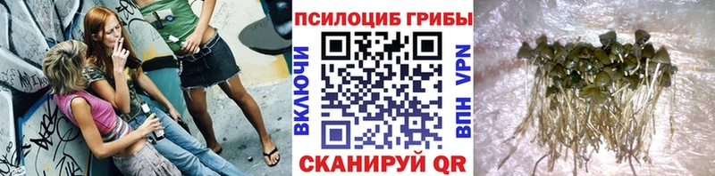 наркотики  Туран  Галлюциногенные грибы ЛСД 